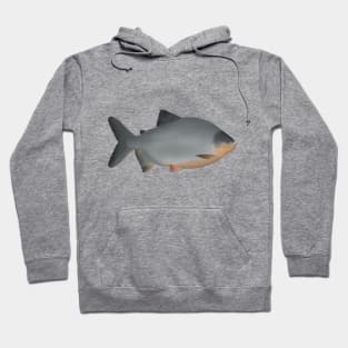 Red-bellied Pacu Hoodie